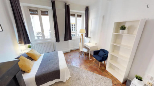 Cute double bedroom next to the Musée des Beaux-Arts de Lyon