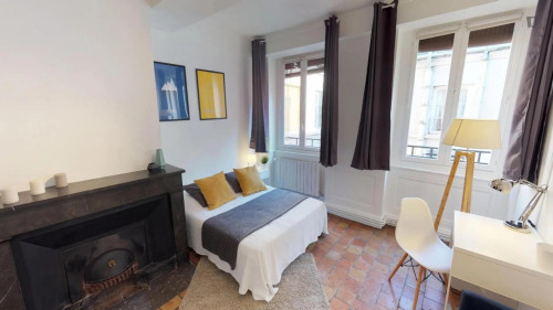 Cute double bedroom next to the Musée des Beaux-Arts de Lyon