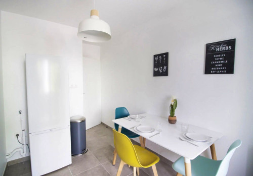 Spacious apartment with 5 bedrooms in the center of Grenoble