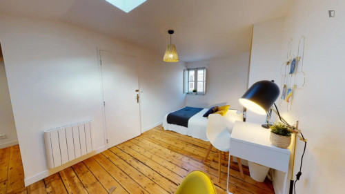 Beautiful double bedroom near Musée des Beaux-Arts de Bordeaux