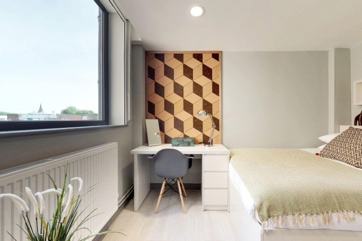  Classic Studio  -  The Walls  - Gallery -  3