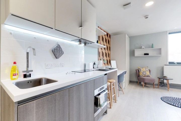  Deluxe Plus Studio  -  The Walls  - Gallery -  4