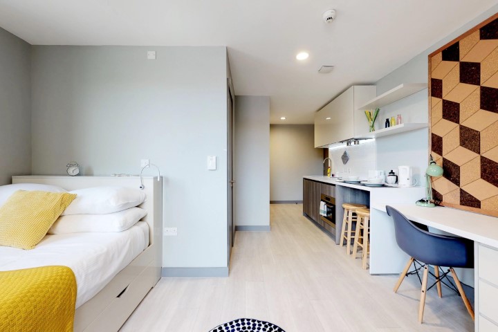  Deluxe Plus Studio  -  The Walls  - Gallery -  1