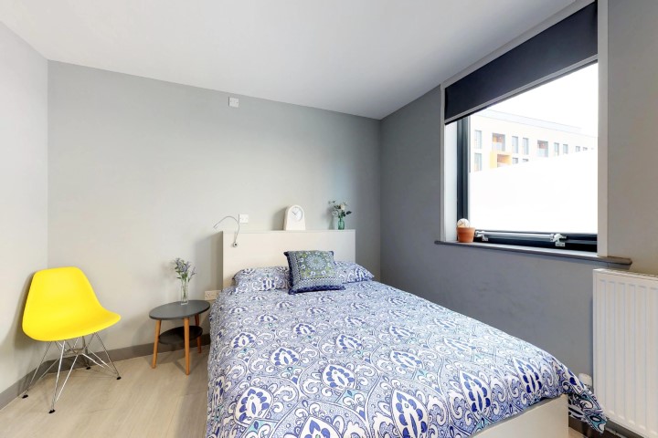  Deluxe Studio  -  The Walls  - Gallery -  1