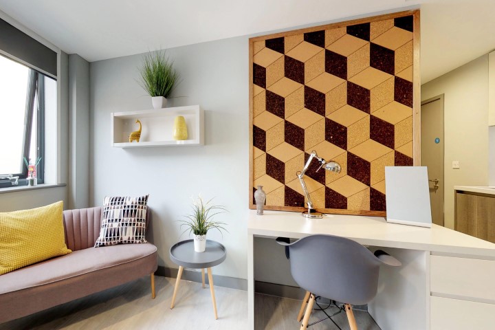  Deluxe Studio  -  The Walls  - Gallery -  5