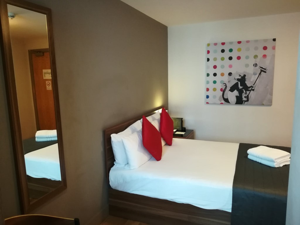  Single En-Suite  -  Britannia Study Hotel - Flexible Tenancies  - Gallery -  6