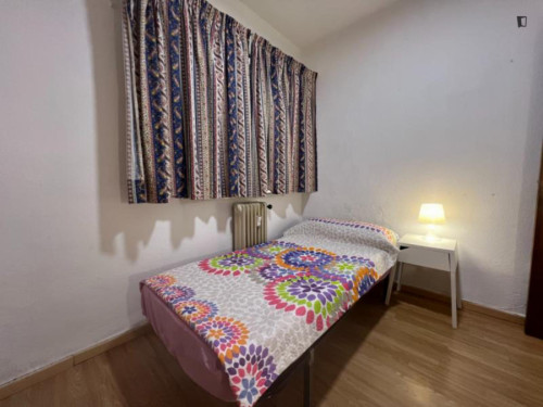 Cozy single bedroom within a short walk to the city center