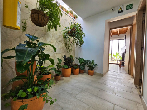 Rosales Residence - Gallery - 54