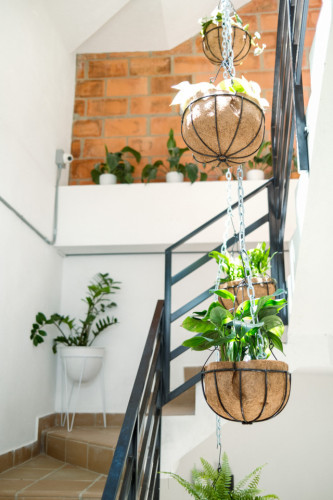 Rosales Residence - Gallery - 24