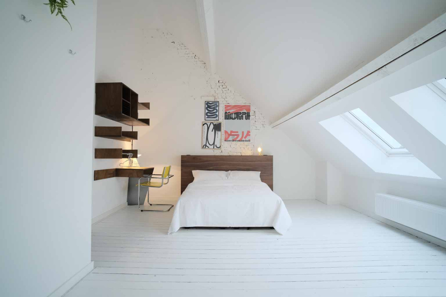 Suite - 41