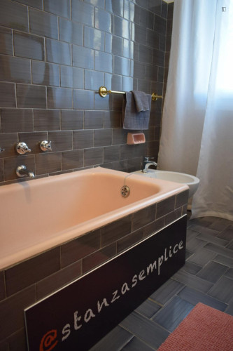 Excellent double bedroom near the San Faustino metro