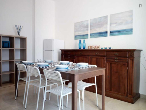 Excellent double bedroom near the San Faustino metro