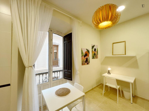 Spacious single bedroom with private kitchen and balcony in central Granada  - Gallery -  5