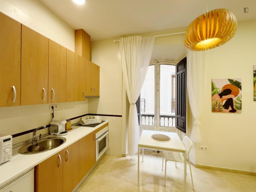 Spacious single bedroom with private kitchen and balcony in central Granada