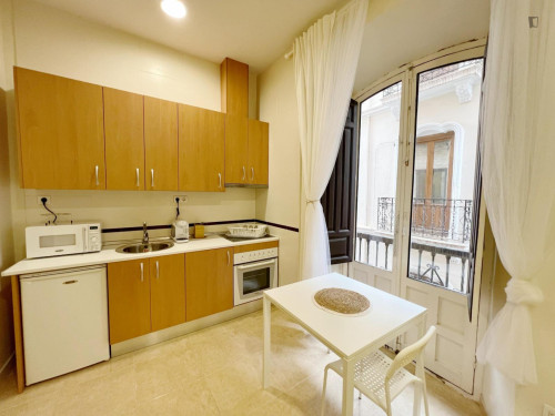 Spacious single bedroom with private kitchen and balcony in central Granada