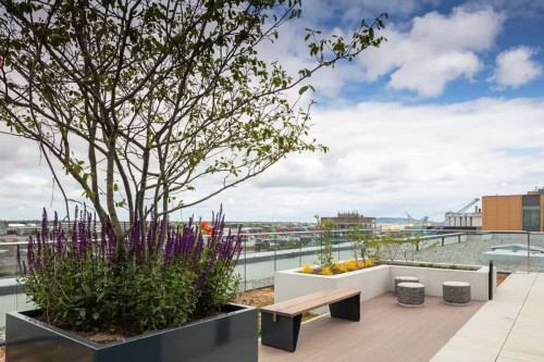 Go Britanya - Point Campus Dublin - Gallery - 8