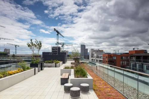 Go Britanya - Point Campus Dublin