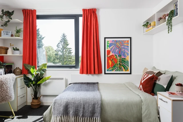  Large Standard Double Studio  -  إيلفيت استوديوز  - Gallery -  1
