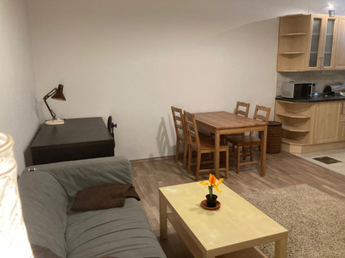 1-Bedroom apartment central Erzsébetváros