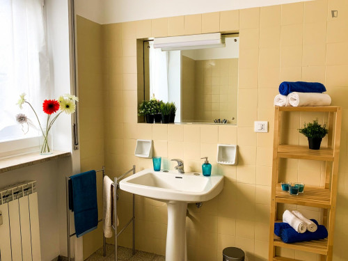 Bright double bedroom near Parco del Valentino  - Gallery - 10