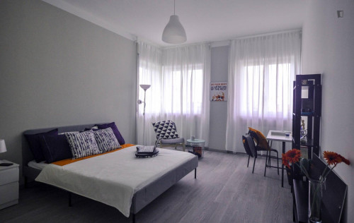 Bright double bedroom near Parco del Valentino 