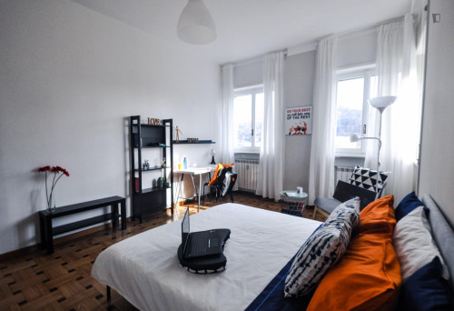 Bright double bedroom near Parco del Valentino 