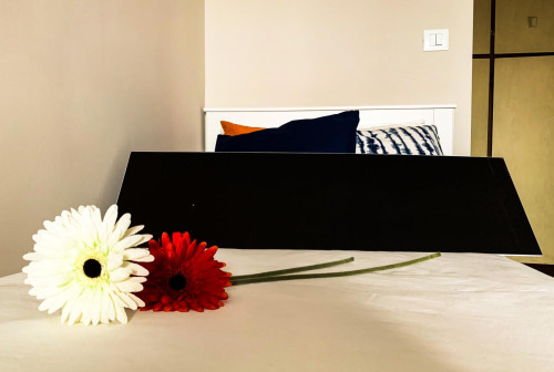 Very nice single bedroom near Parco del Valentino - Gallery - 5
