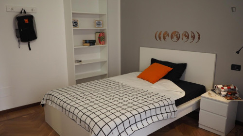Pleasant double bedroom in San Salvario