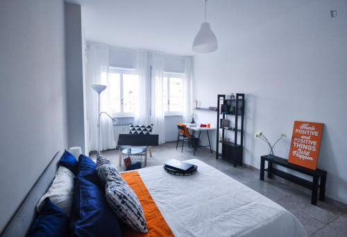 Big double bedroom in San Salvario