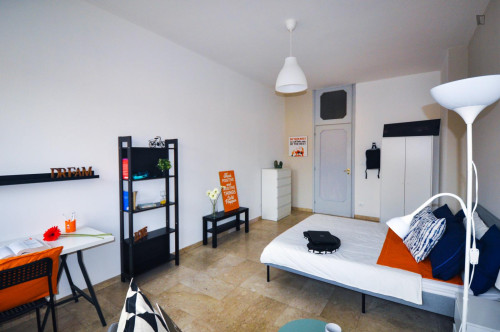 Big double bedroom in San Salvario