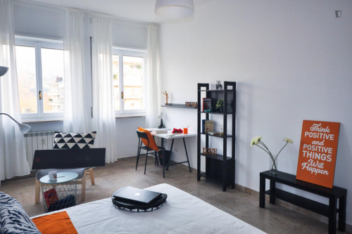 Big double bedroom in San Salvario