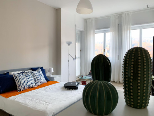 Big double bedroom in San Salvario - Gallery - 5