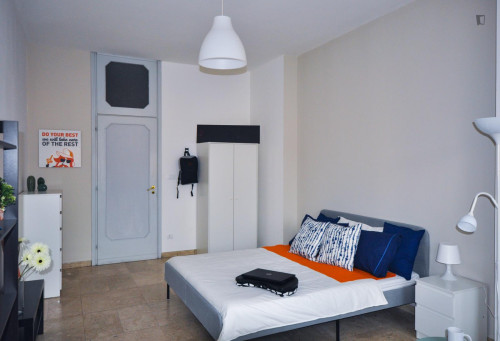 Big double bedroom in San Salvario