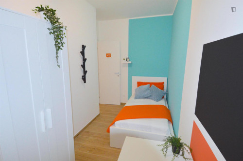 Very nice single bedroom in Parco della Resistenza