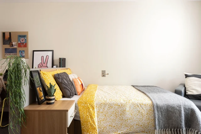  Large Standard Double Studio  -  Chalmers Street Unite  - Gallery -  1