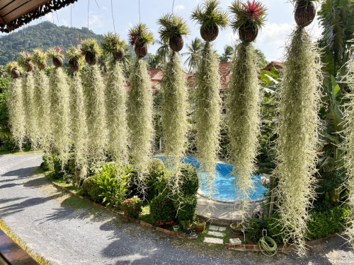 Had Lamai Residence - Gallery - 136