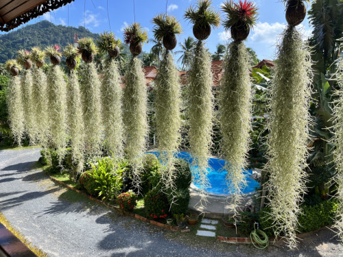 Had Lamai Residence - Gallery - 89