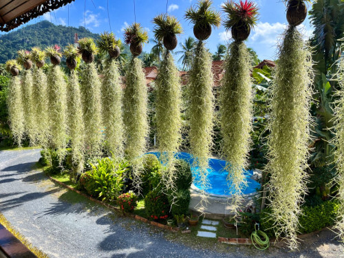 Had Lamai Residence - Gallery - 9