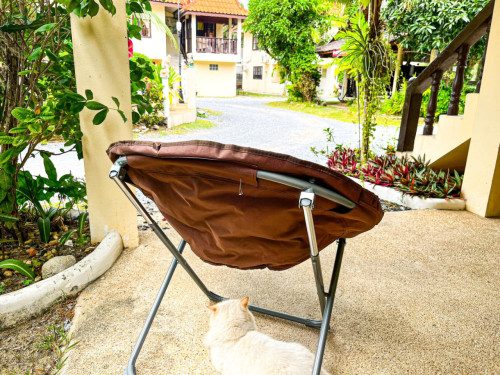 Charming Coliving in Koh Samui's Serene Tambon Maret