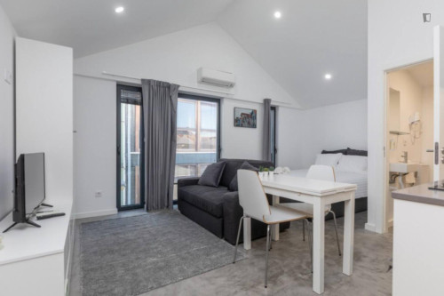 Astonishing Studio close to Alboi Park