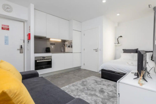 Bright Studio with a terrace close to Baixa de Santo António Park