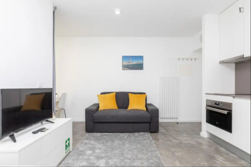Bright Studio with a terrace close to Baixa de Santo António Park