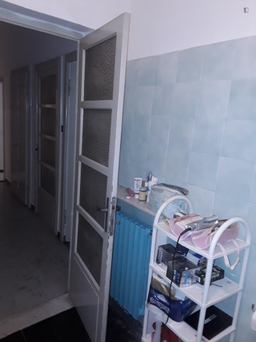 Single Bedroom in a 4 bedroom apartment in Parma - Gallery - 7