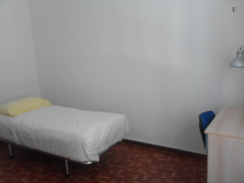 Single Bedroom in a 4 bedroom apartment in Parma