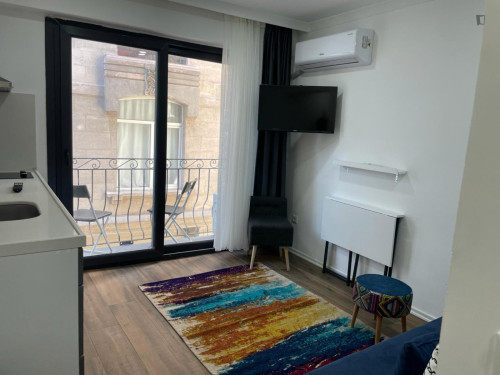 Welcoming 1-bedroom apartment in Beyoğlu