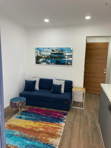 Welcoming 1-bedroom apartment in Beyoğlu  - Gallery -  5