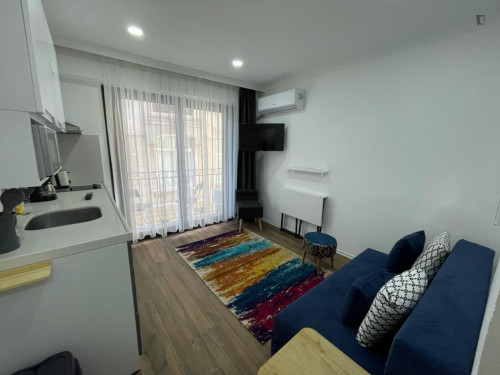 Welcoming 1-bedroom apartment in Beyoğlu