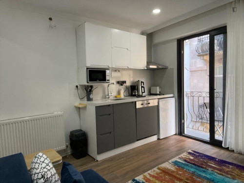 Welcoming 1-bedroom apartment in Beyoğlu - Gallery - 7