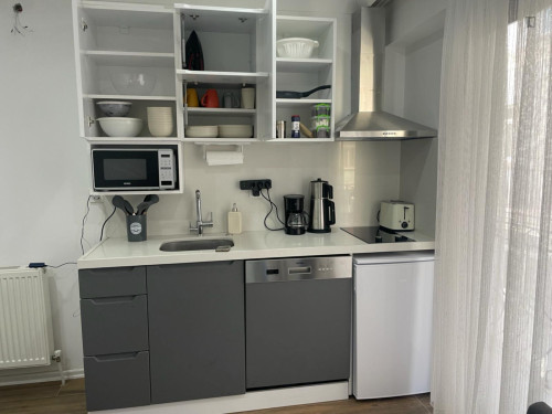 Welcoming 1-bedroom apartment in Beyoğlu - Gallery - 6