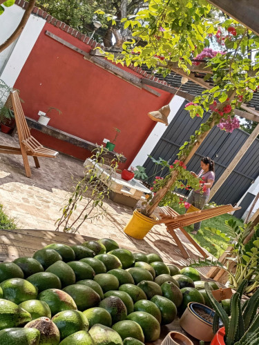 Zona Norte Residence - Gallery - 112